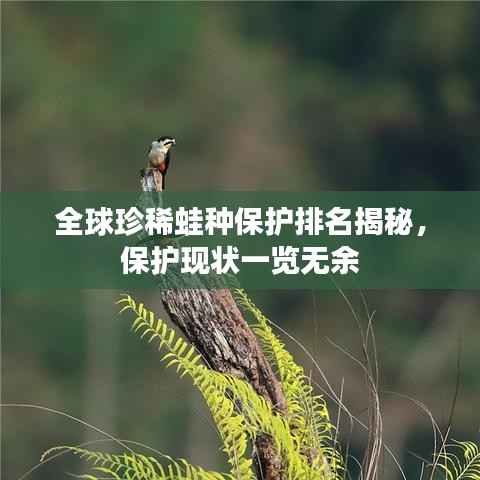 全球珍稀蛙种保护排名揭秘,保护现状一览无余