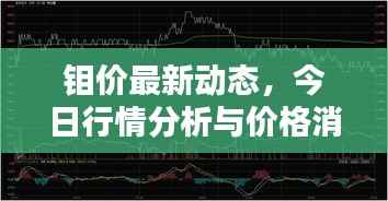 钼价最新动态，今日行情分析与价格消息一网打尽