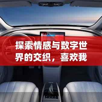 探索情感与数字世界的交织,喜欢我一下百度云txt
