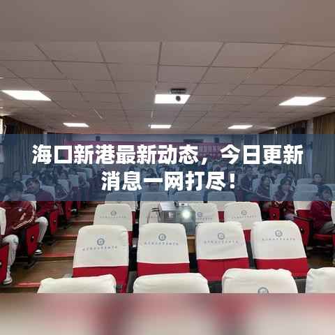 海口新港最新动态,今日更新消息一网打尽!