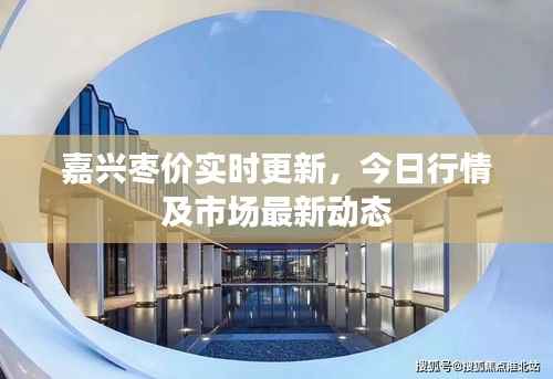 嘉兴枣价实时更新，今日行情及市场最新动态