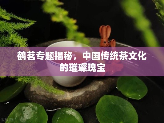 鹤茗专题揭秘，中国传统茶文化的璀璨瑰宝