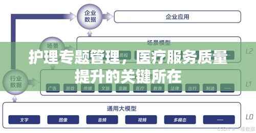 护理专题管理，医疗服务质量提升的关键所在