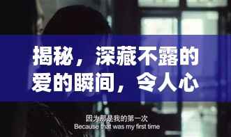 一花独放 第3页