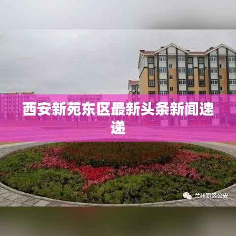 西安新苑东区最新头条新闻速递