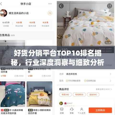 好货分销平台TOP10排名揭秘,行业深度洞察与细致分析