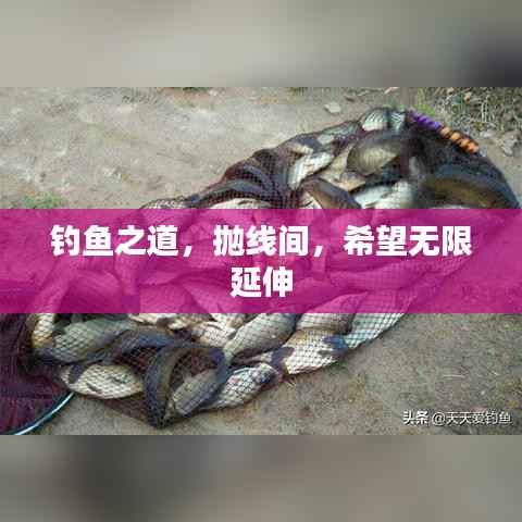 钓鱼之道，抛线间，希望无限延伸