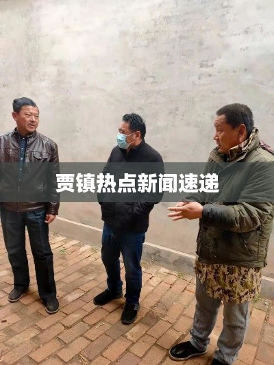 贾镇热点新闻速递