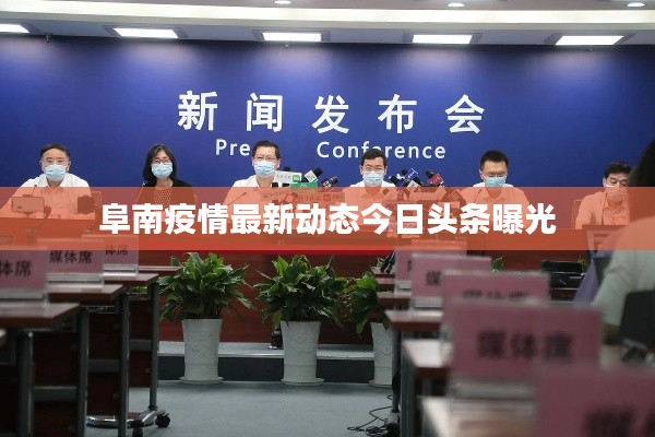 阜南疫情最新动态今日头条曝光