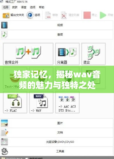 独家记忆,揭秘wav音频的魅力与独特之处