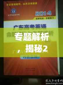 专题解析,揭秘24年专题Vlog的独特魅力