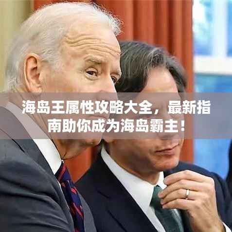 海岛王属性攻略大全,最新指南助你成为海岛霸主!