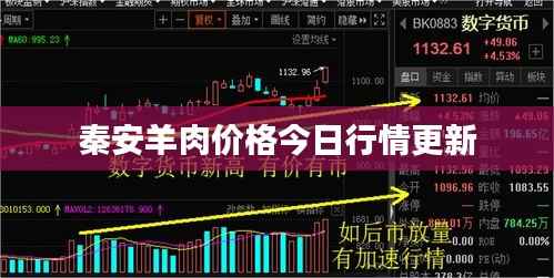 秦安羊肉价格今日行情更新