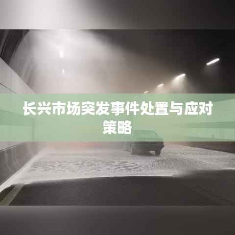 长兴市场突发事件处置与应对策略