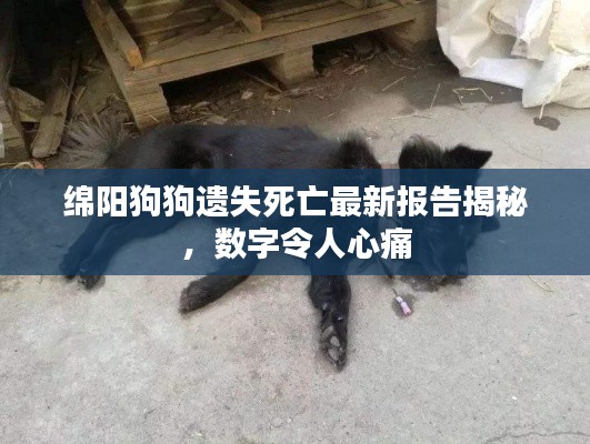 绵阳狗狗遗失死亡最新报告揭秘,数字令人心痛