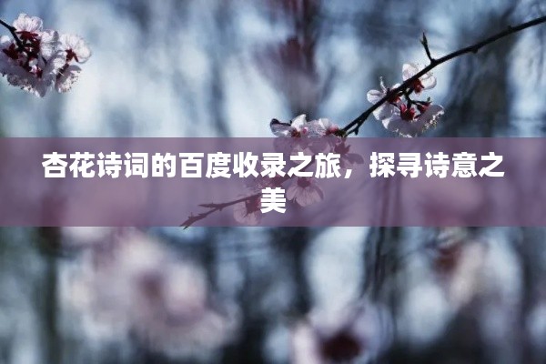 杏花诗词的百度收录之旅,探寻诗意之美