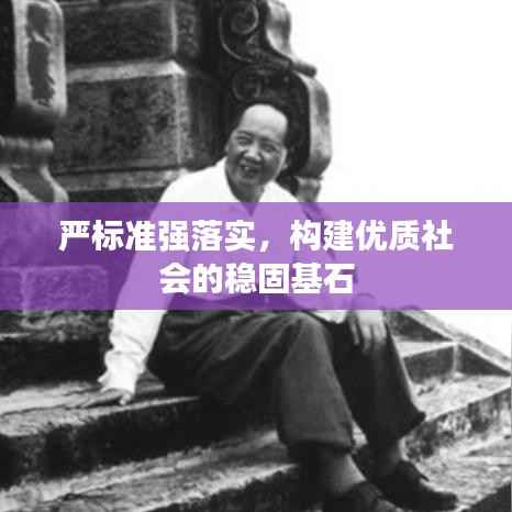 严标准强落实,构建优质社会的稳固基石