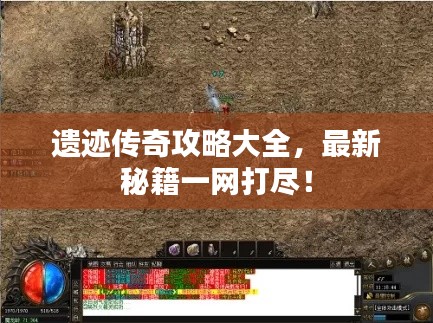 遗迹传奇攻略大全,最新秘籍一网打尽!