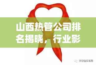 山西热管公司排名揭晓，行业影响力与市场份额揭秘