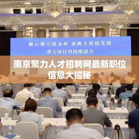 南京聚力人才招聘网最新职位信息大揭秘