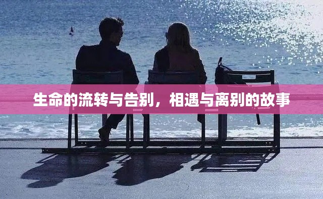 生命的流转与告别,相遇与离别的故事