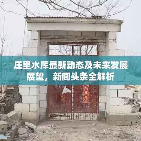 庄里水库最新动态及未来发展展望,新闻头条全解析