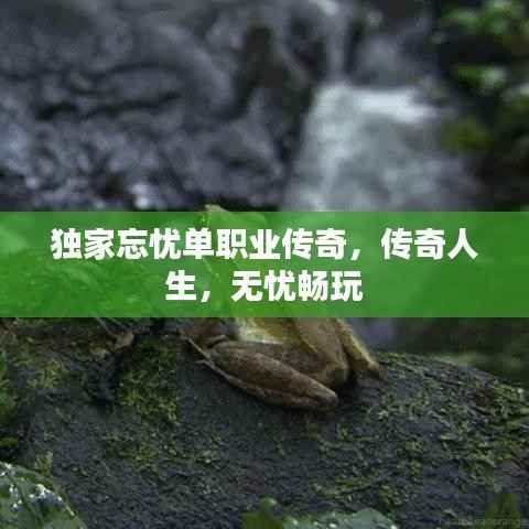 独家忘忧单职业传奇，传奇人生，无忧畅玩