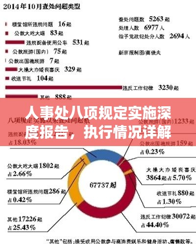 人事处八项规定实施深度报告,执行情况详解与成效分析