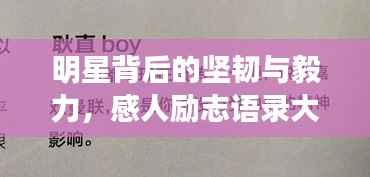 明星背后的坚韧与毅力,感人励志语录大揭秘!