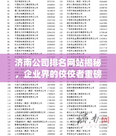 济南公司排名网站揭秘,企业界的佼佼者重磅榜单!