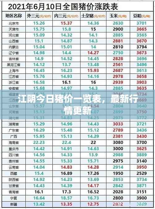 江阴今日猪价一览表,最新行情更新