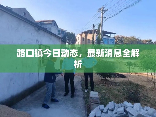 路口镇今日动态,最新消息全解析