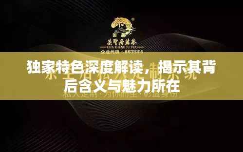 独家特色深度解读，揭示其背后含义与魅力所在