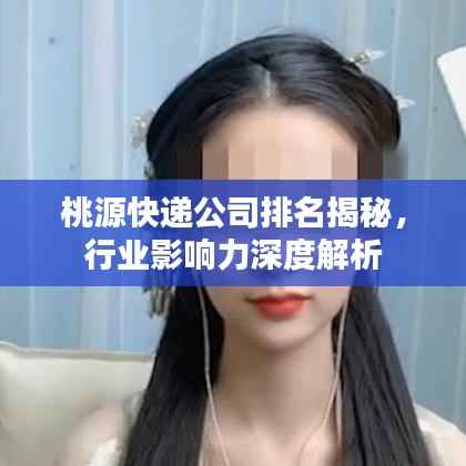 桃源快递公司排名揭秘,行业影响力深度解析
