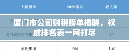 厦门市公司财税榜单揭晓,权威排名表一网打尽