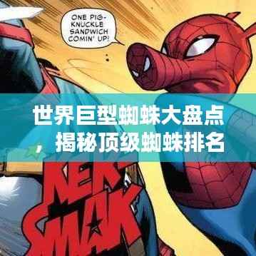 世界巨型蜘蛛大盘点,揭秘顶级蜘蛛排名!