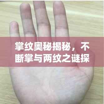掌纹奥秘揭秘,不断掌与两纹之谜探秘