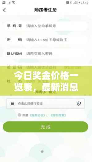 今日奖金价格一览表,最新消息全面掌握