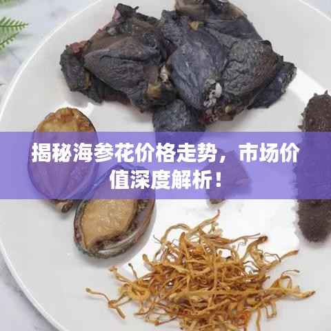 揭秘海参花价格走势，市场价值深度解析！