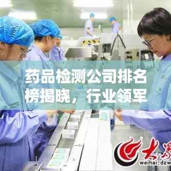 药品检测公司排名榜揭晓,行业领军者全榜单揭秘!