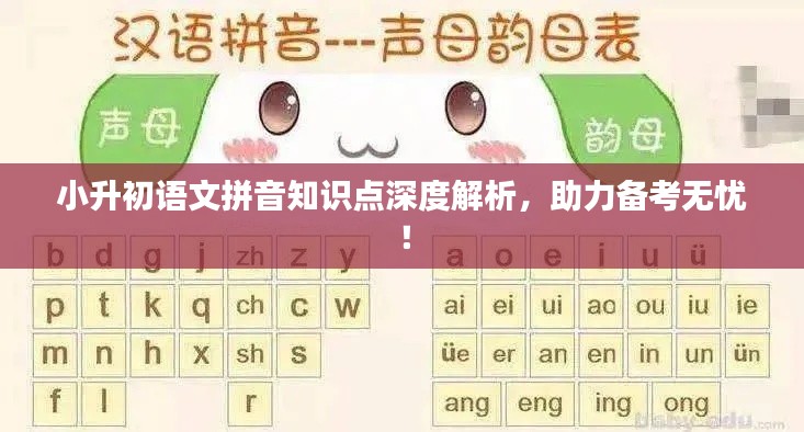 小升初语文拼音知识点深度解析,助力备考无忧!