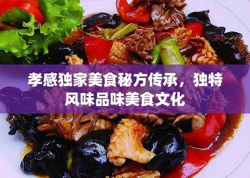 孝感独家美食秘方传承,独特风味品味美食文化