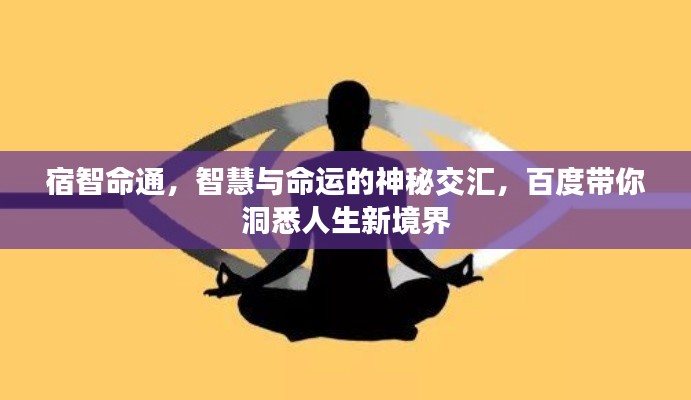 宿智命通,智慧与命运的神秘交汇,百度带你洞悉人生新境界