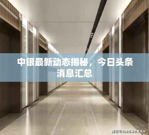 中银最新动态揭秘,今日头条消息汇总