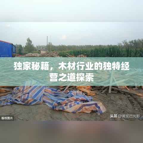 独家秘籍,木材行业的独特经营之道探索