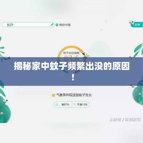 揭秘家中蚊子频繁出没的原因!