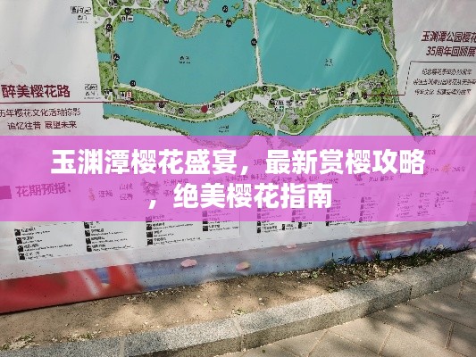 玉渊潭樱花盛宴，最新赏樱攻略，绝美樱花指南