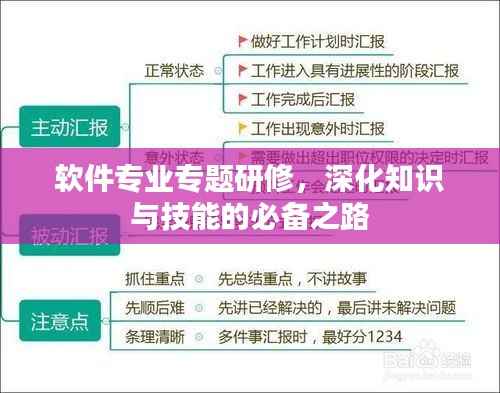 软件专业专题研修,深化知识与技能的必备之路