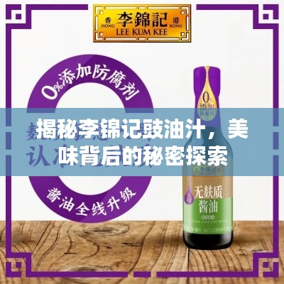揭秘李锦记豉油汁,美味背后的秘密探索