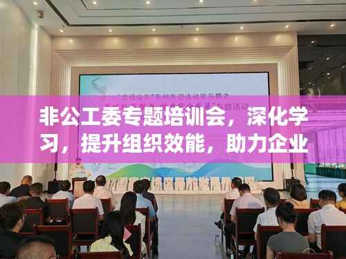 非公工委专题培训会,深化学习,提升组织效能,助力企业发展新篇章